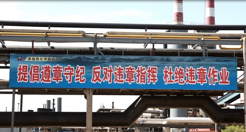 面對(duì)面“把脈問診” 實(shí)打?qū)崱办畈?qiáng)身”