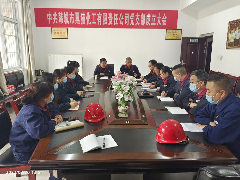 鍛鑄黨建品牌，打造標(biāo)桿企業(yè)